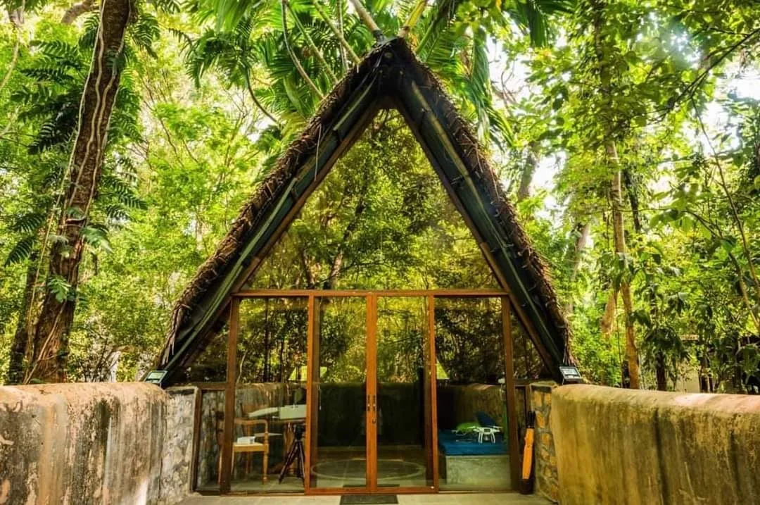 Diyabubula, the Barberyn Art & Jungle Hideaway