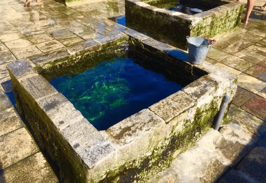 Anuradhapura to Trincomalee