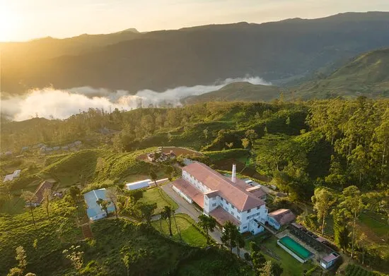 Tea and Experience Factory