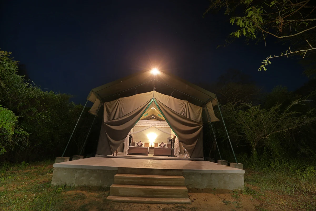 Wilpattu Safari Camp