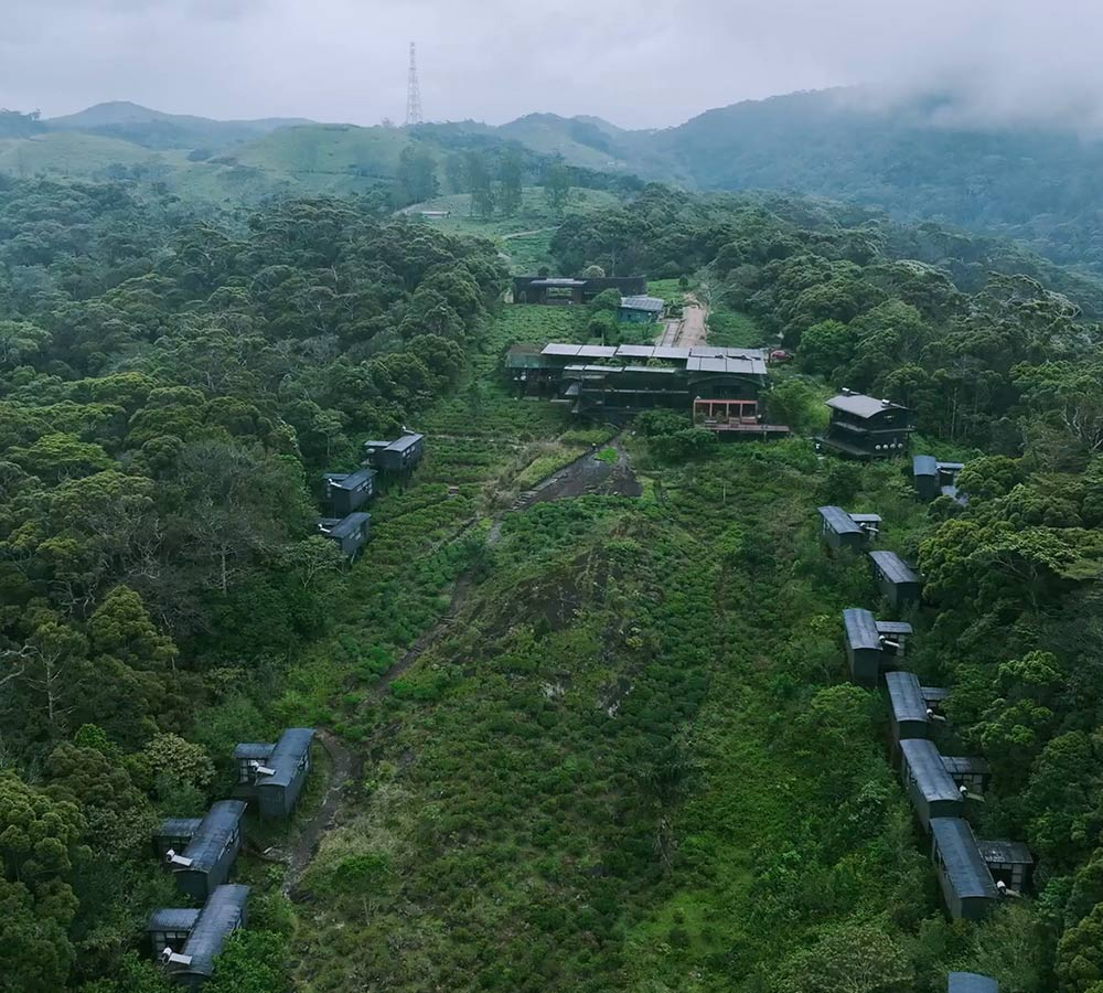 The Rainforest Ecolodge