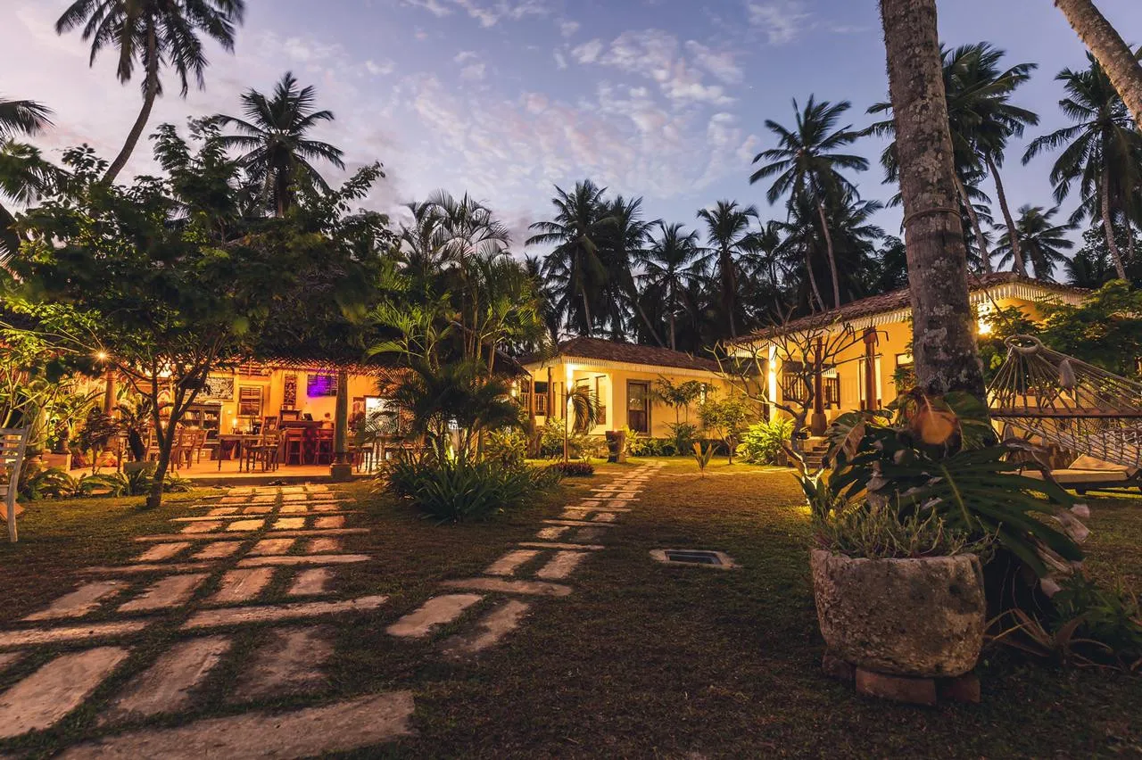 Aga Surf View & Restaurant